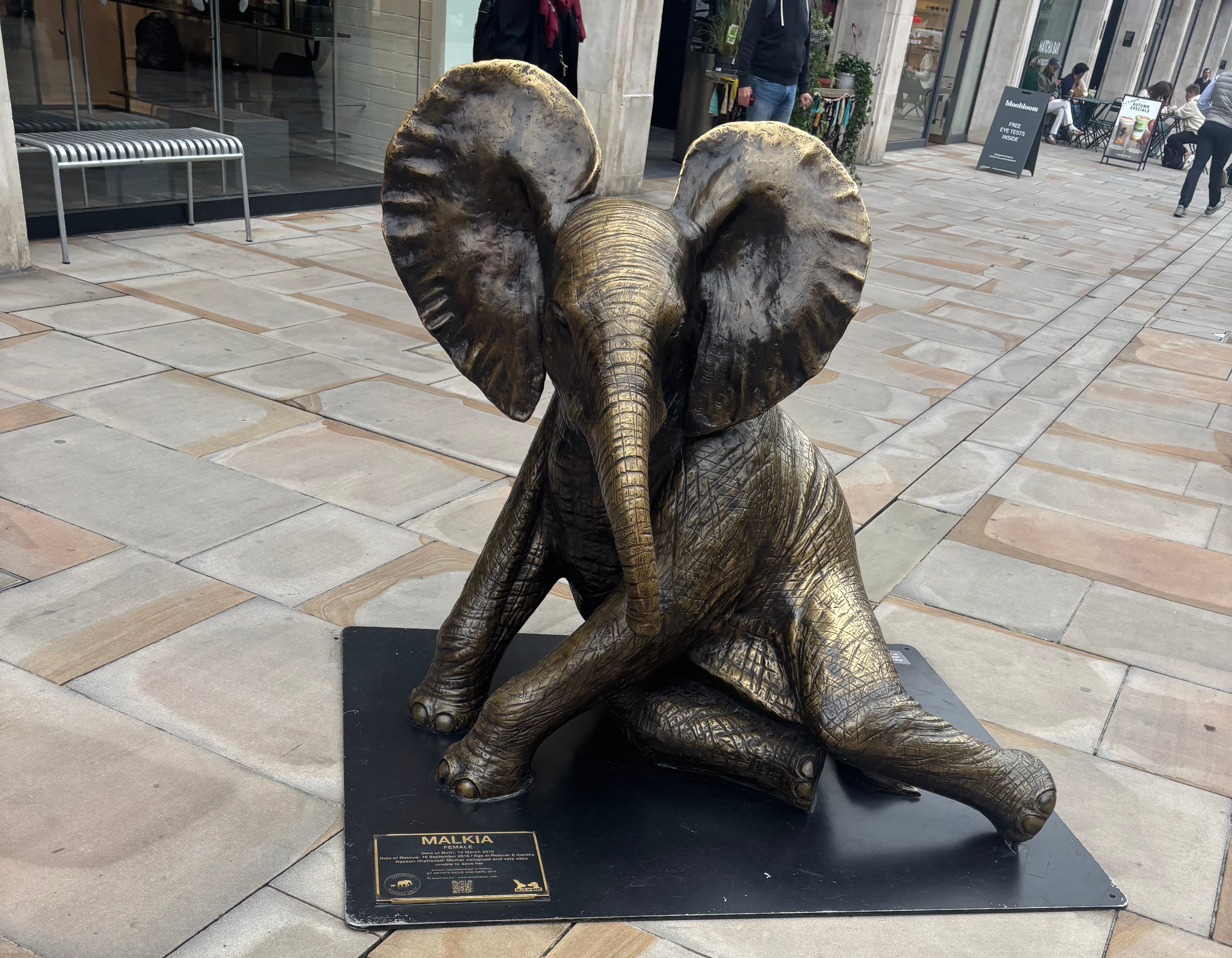 UK 2025 – Day 6 | The Wanderer Series 