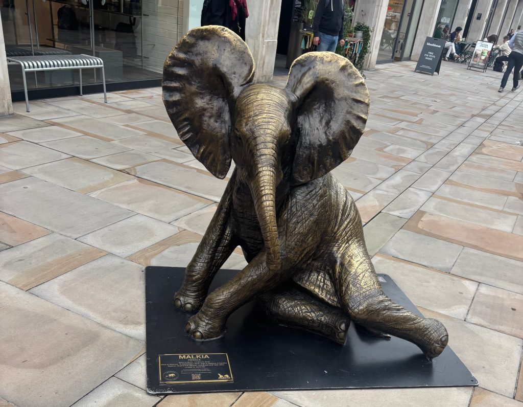 UK 2025 – Day 6 | The Wanderer Series 